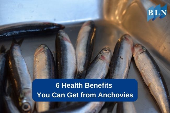 6 Health Benefits You Can Get from Anchovies